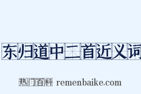 东归道中二首近义词是什么意思的图片